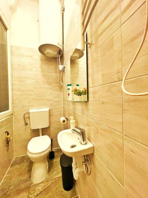 Central Studio Flat Budapeşte Dış mekan fotoğraf